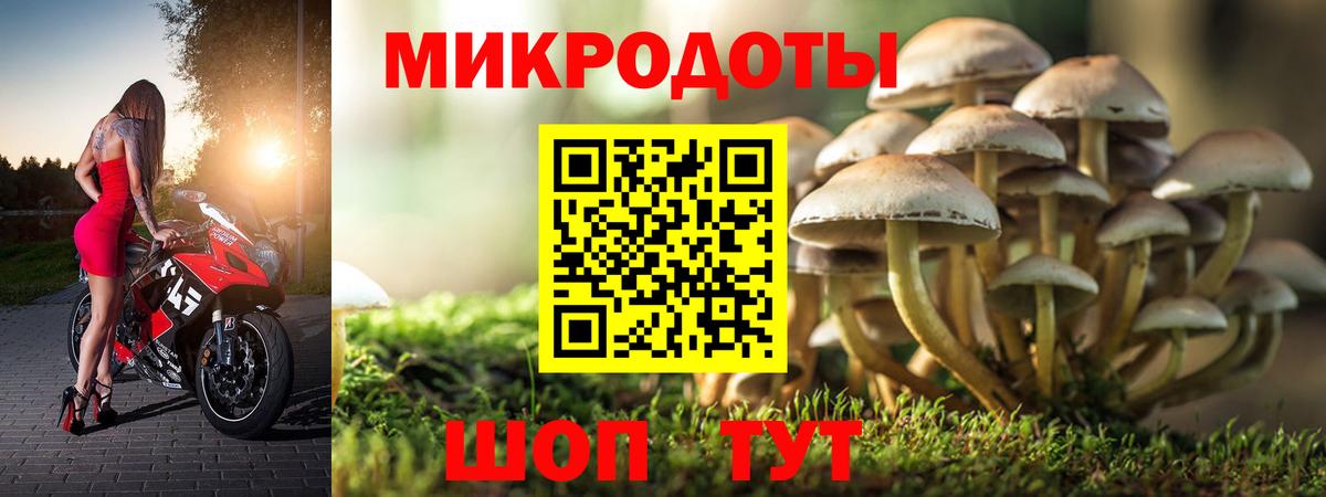 Галлюциногенные грибы Psilocybine cubensis  Вход с VPN  Курганинск 